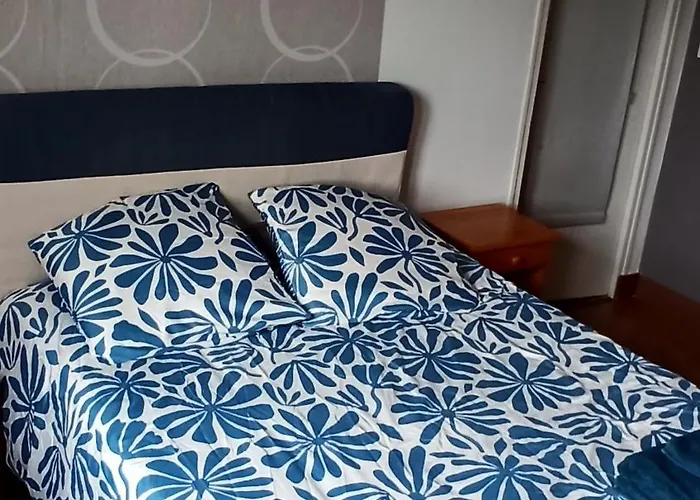 Villa Maison Spacieuse A Proximite Du Circuit Des 24h Du Mans *